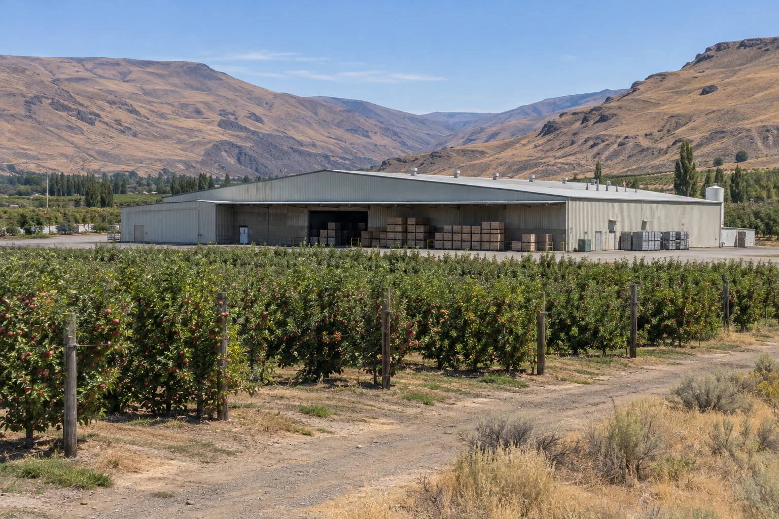 Commercial Roofing in Cowiche, WA