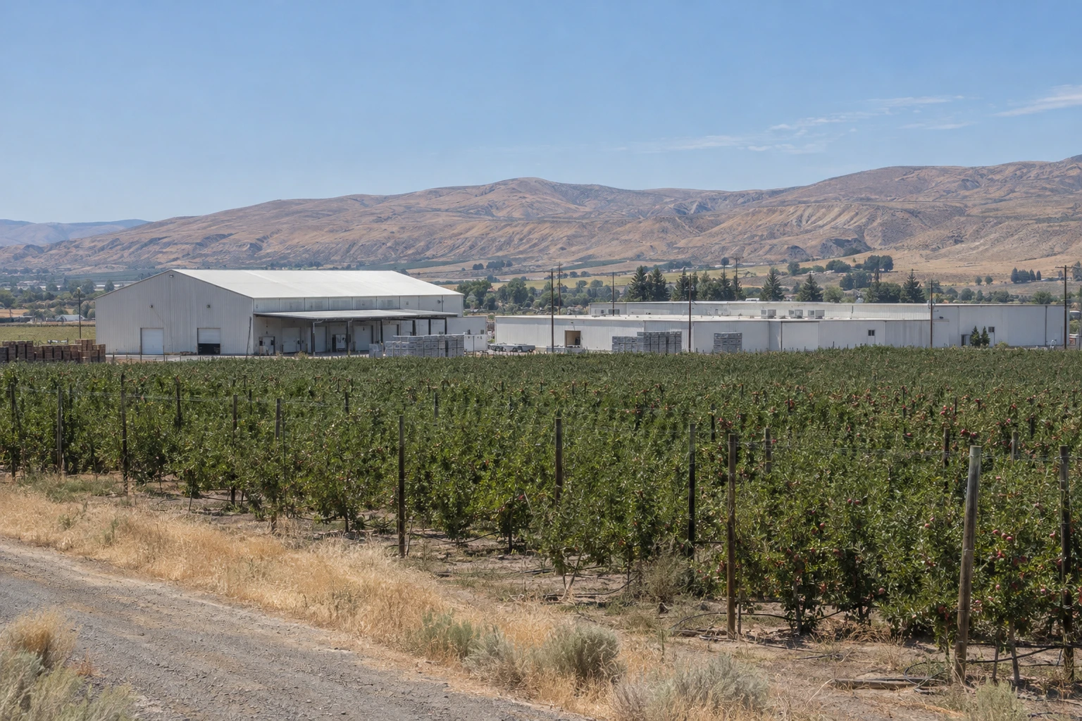 Commercial Roofing in Donald, WA
