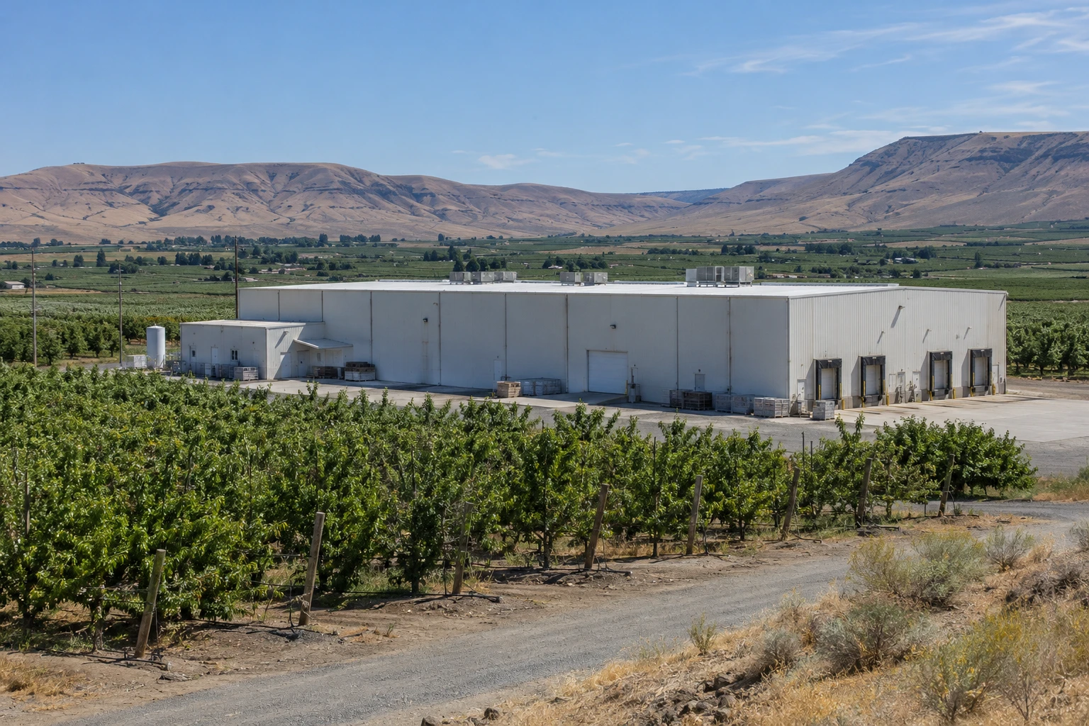 Commercial Roofing in Fruitvale, Yakima, WA