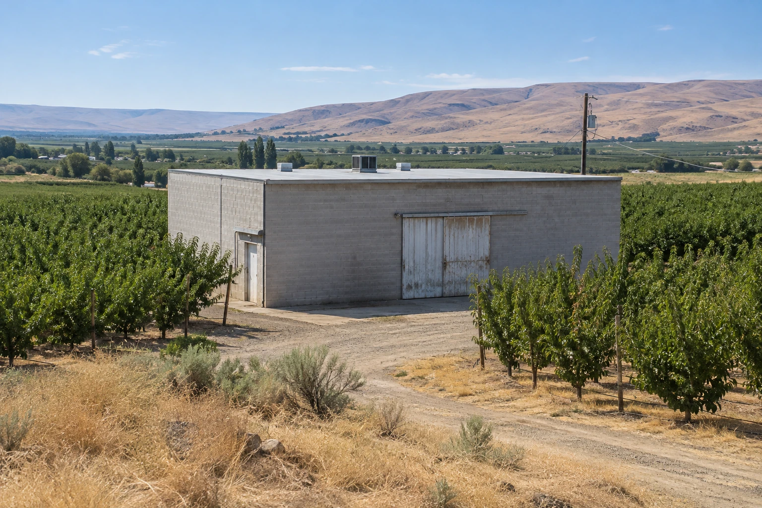Commercial Roofing in Wiley City, WA